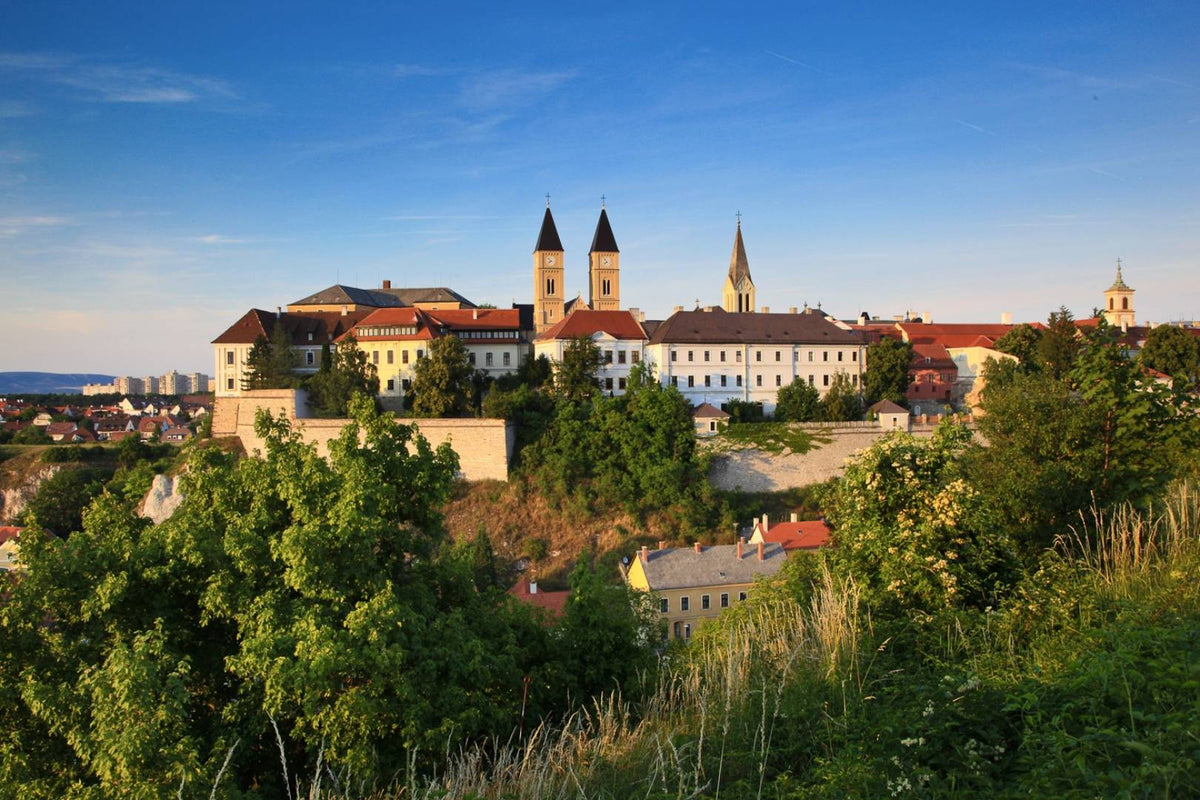 VESZPRÉMI VAGY?
VISELD BÜSZKÉN.