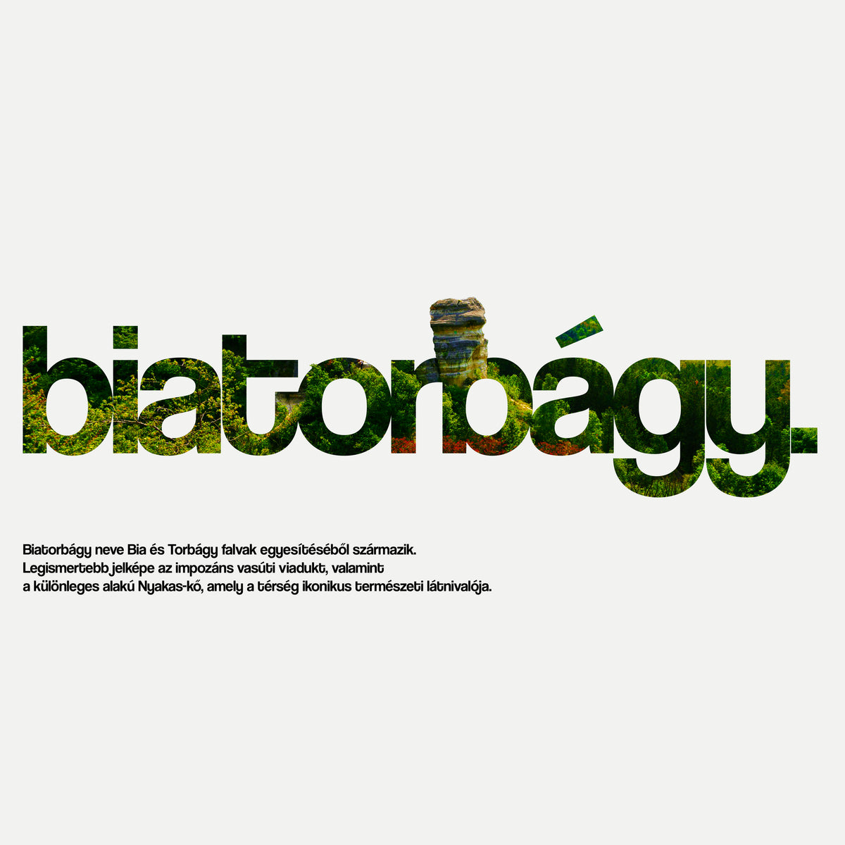 BIATORBÁGY 1.0 - Kapucnis Pulóver