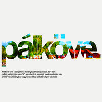 PÁLKÖVE 1.0 - Kapucnis Pulóver