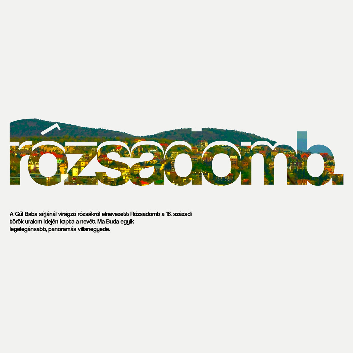RÓZSADOMB 1.0 - Kapucnis Pulóver