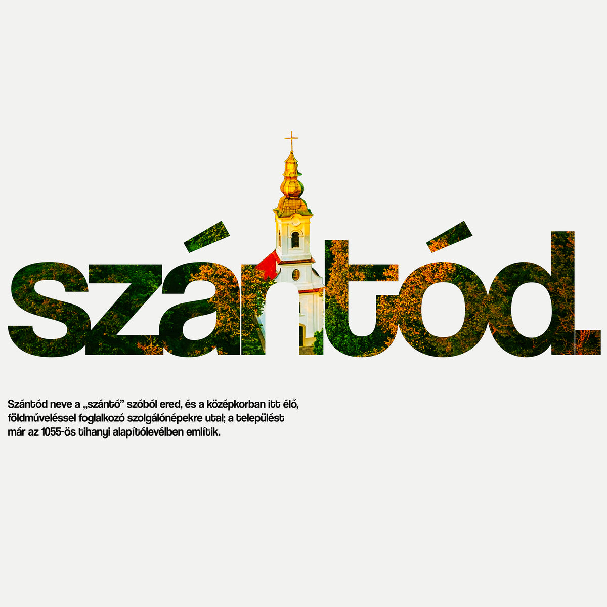 SZÁNTÓD 1.0 - Pamut Póló