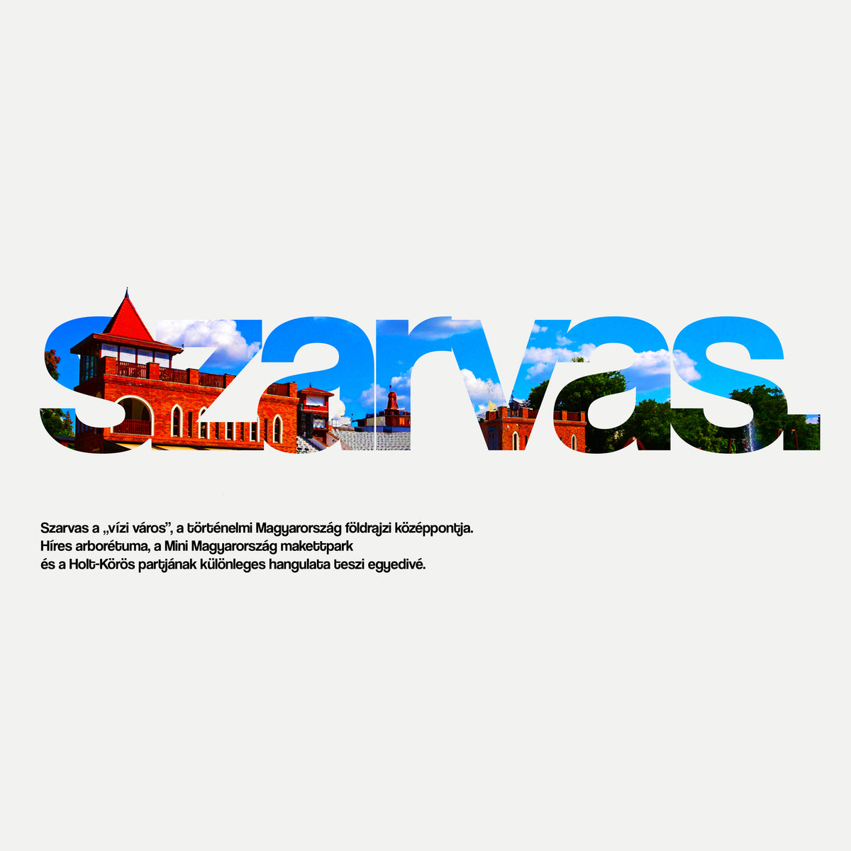 SZARVAS 1.0 - Kapucnis Pulóver