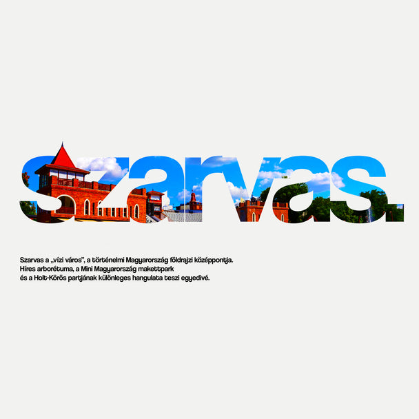 SZARVAS 1.0 - Vászontáska