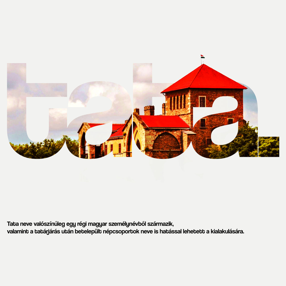 TATA 1.0 - Pamut Póló - Huniwear