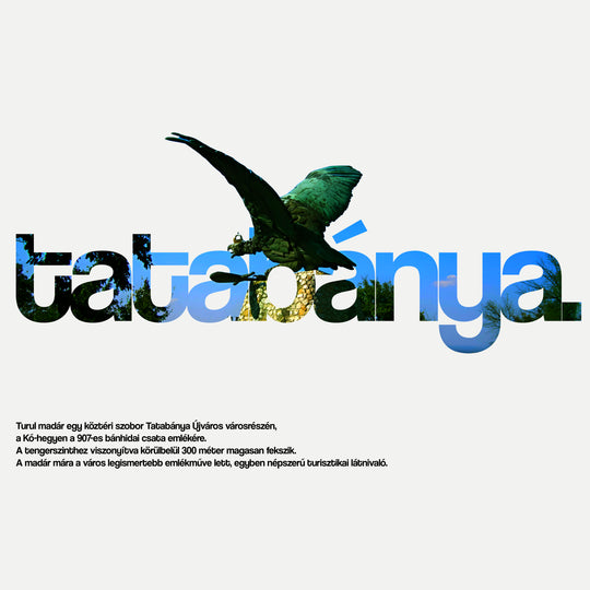 TATABÁNYA 2.0 - Pamut Póló